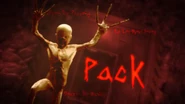 MP - Pack