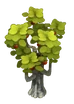 Api Tree