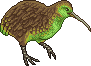 KiwiAdult