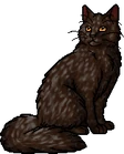 Timberfur.warrior