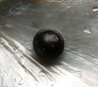 Pearl-black1
