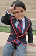 Mini Warbler