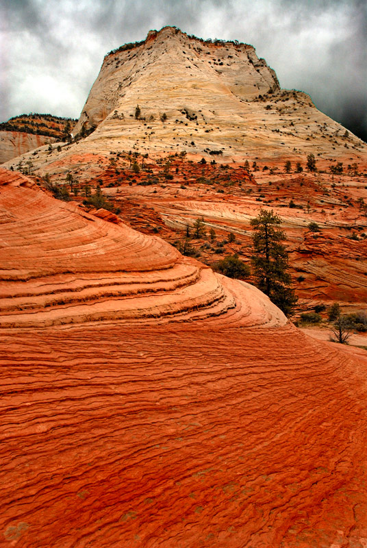 Zionslickrock