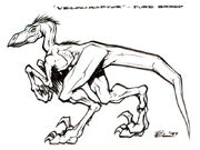 Raptoralphaconcept