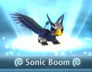 Sonic Boom Air