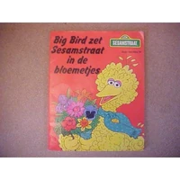 BigBirdzetSesamstraatindebloemetjes
