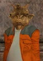 Reggi Tirver.jpg