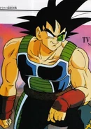Bardock-in-dbz