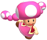 Toadette Brawl