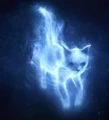 Catpatro.jpg