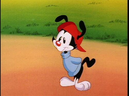 Wakko Warner - Animaniacs Wiki