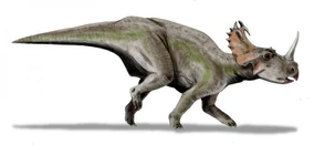 Centrosaurus bw