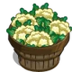 Cauliflower Bushel-icon