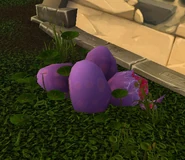 CrocEggs