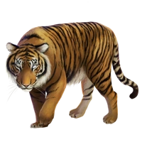 Huge item blind tiger 01.png