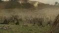 Green Fork.jpg