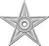 Veteran's Award