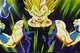 Majin vegeta22