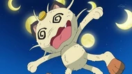 EP707 Meowth debilitado