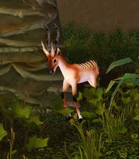 LongstriderGazelle