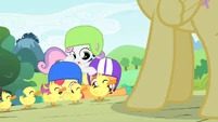 Ducklings crossing the road S1E23