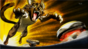 Lynx vs zurafa