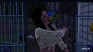 Parrot
