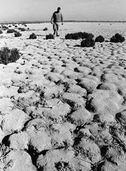 Hondo Spain Drought.jpg