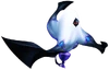 Metamorphosis BBSFM