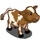 Guernsey Cow