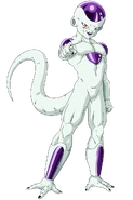 Freezer Final Trans