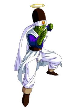 Paikuhan Trans