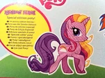 Rainbow Flash Official Backcard