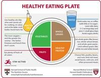 Harvard Plate