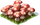 Mushrooms Fruit