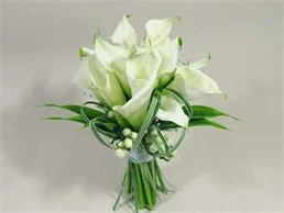 Flowers1