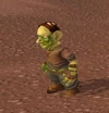 Crazed Gnome