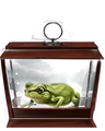 Western Green Toad.png