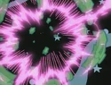 SpacedOut114