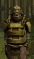 Rryatt Ceremonial Guard.jpg