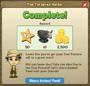 The Tethered Heifer-COMPLETE