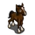 Peruvian Foal