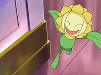Nando Sunflora