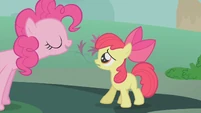 Pinkie Pie talks to Apple Bloom S1E12
