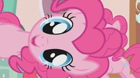 Pinkie Pie continues to sing her "Cupcakes" song S1E12