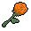 Orange Rose