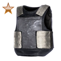 Huge item bulletproofvest bronze 01.png