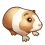 Small pet - Guinea Pig