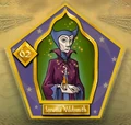 Ignatia Wildsmith - Chocogrenouille HP1.jpg