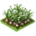 Garlic-icon